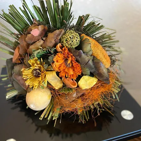 Appartement Gaestewohnung